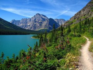Retire in montana